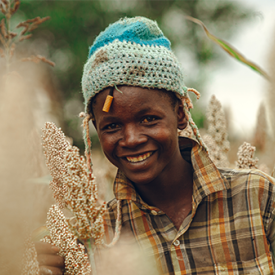 Stepping Forward: Strengthening policy coherence to improve Kenya’s food systems